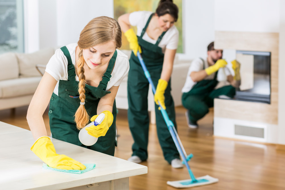 What should you do before a cleaner comes