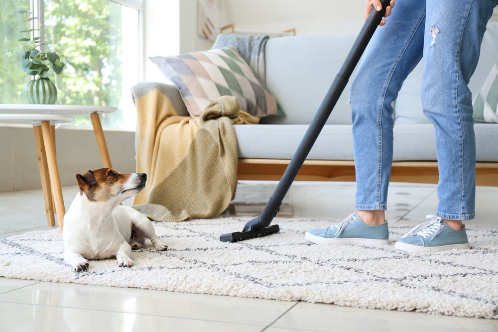 house cleaning services Frederick MD